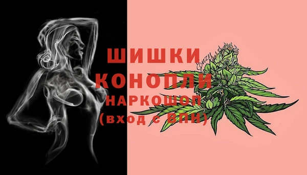 прущие грибы Балахна