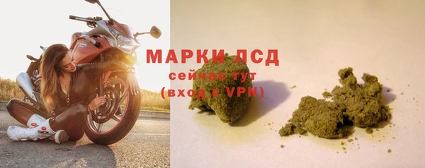 прущие грибы Балахна